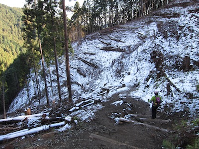 e0156534_14451489.jpg