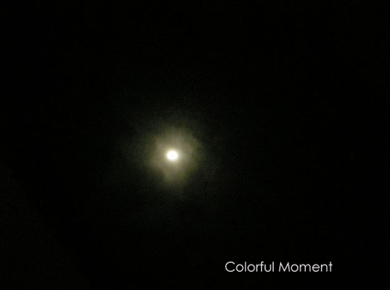a0143435_05638.jpg