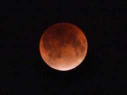 b0175635_1113347.jpg