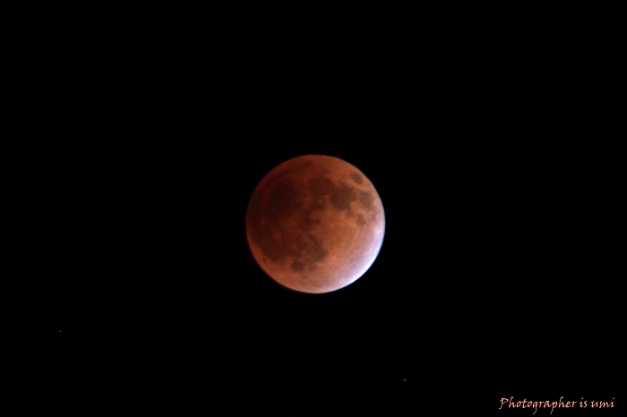 e0083238_21104772.jpg