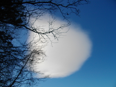 e0242439_854477.jpg