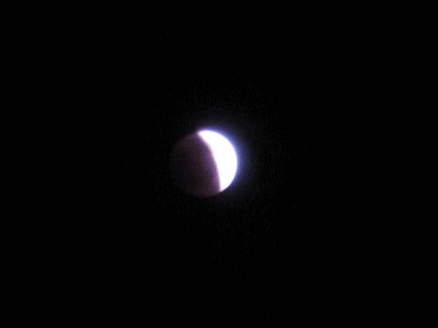 b0149340_17174342.gif