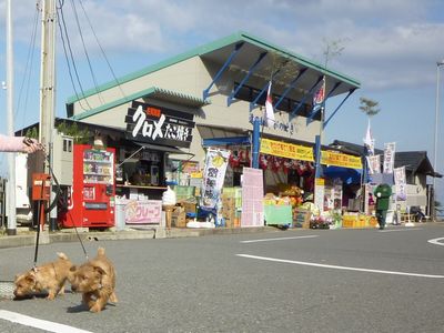 c0211540_16552.jpg