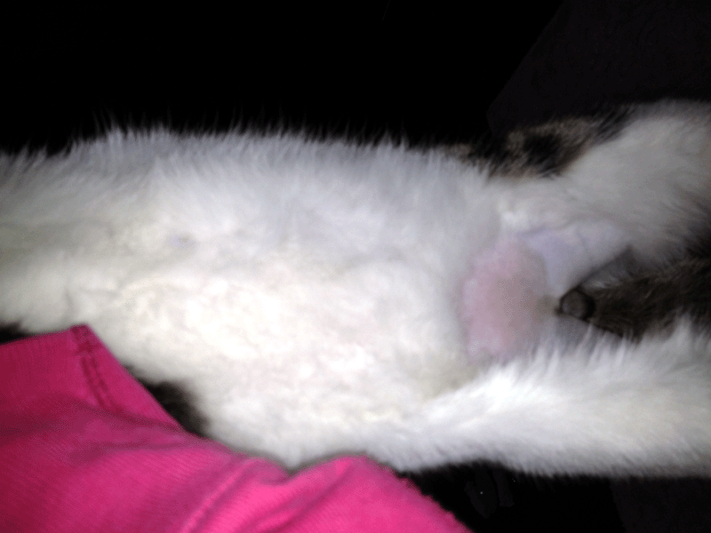 b0216341_2232482.gif