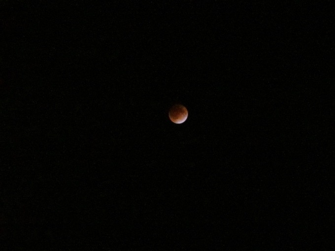 a0051443_90535.jpg