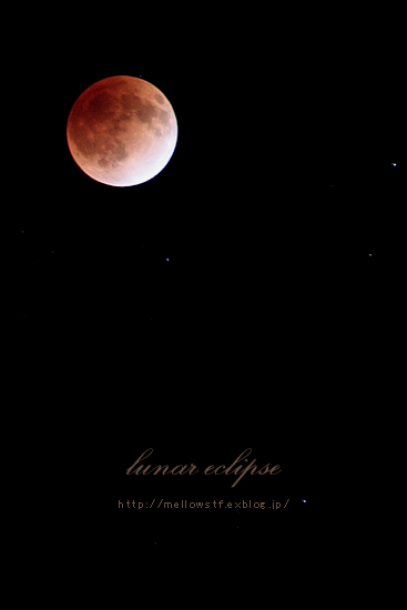 ピンクのお月様　－　皆既月食2011　－_d0124248_17592756.jpg