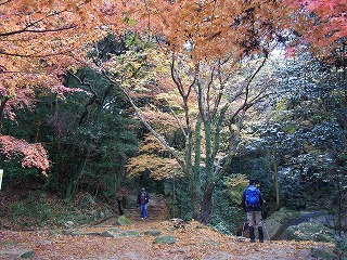 a0150050_13311065.jpg