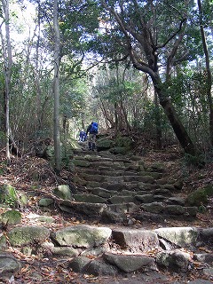 a0150050_13312228.jpg