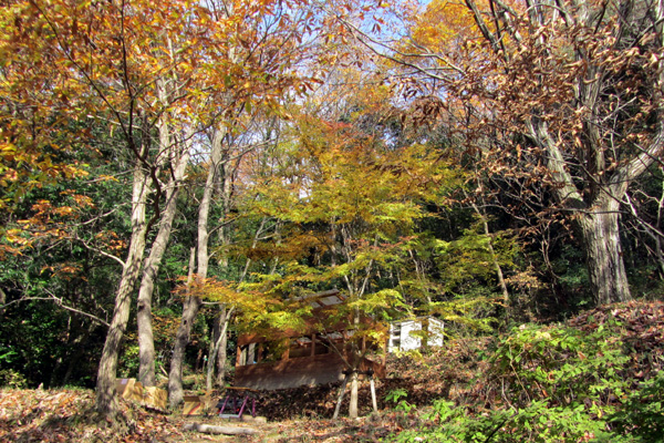 f0007956_177537.jpg