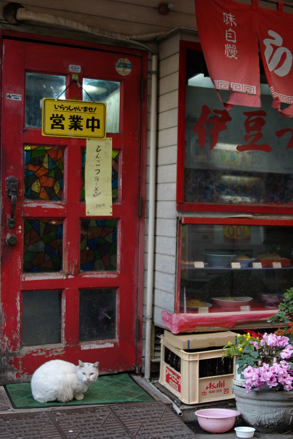 c0080357_14224459.jpg