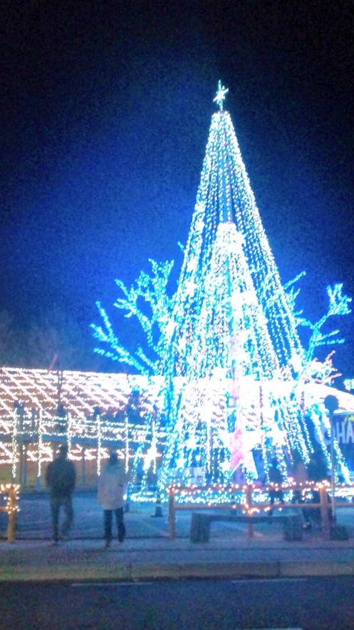 c0173159_2347559.jpg