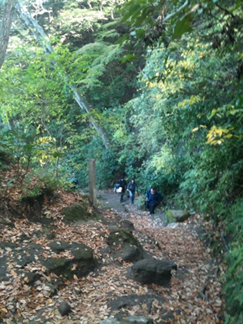 c0180959_19172516.jpg