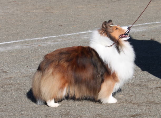 2011JCC特別展_f0126965_21463180.jpg