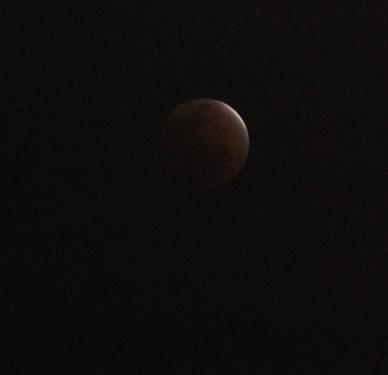 e0158970_254654.jpg
