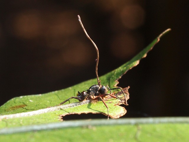 b0135573_20443339.jpg