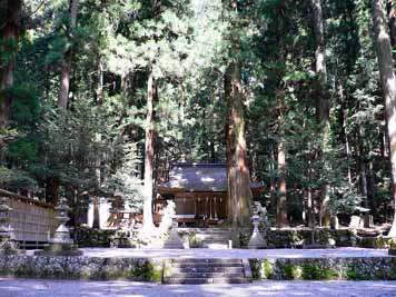 e0126576_154264.jpg