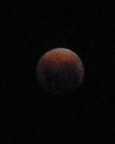 a0036780_0264634.jpg