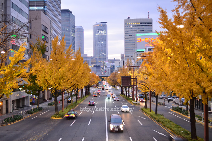 a0220782_22123749.jpg