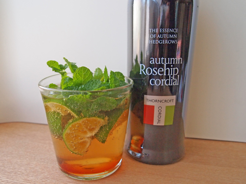 mojito_a0224382_15531357.jpg