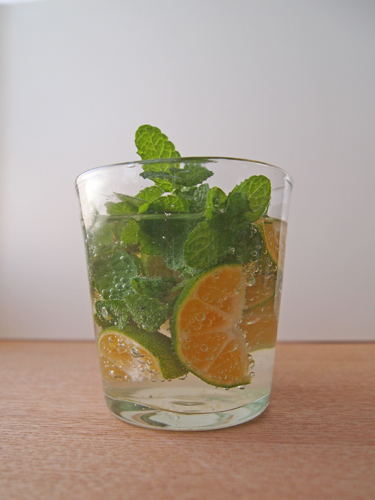 mojito_a0224382_15534924.jpg