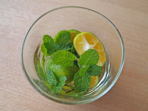 mojito_a0224382_1553953.jpg