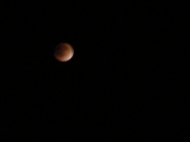 f0063887_033492.jpg