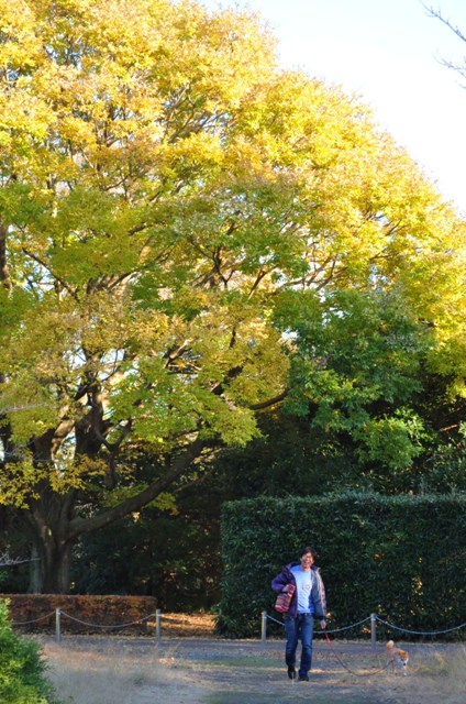 最後の紅葉_a0126590_21424819.jpg