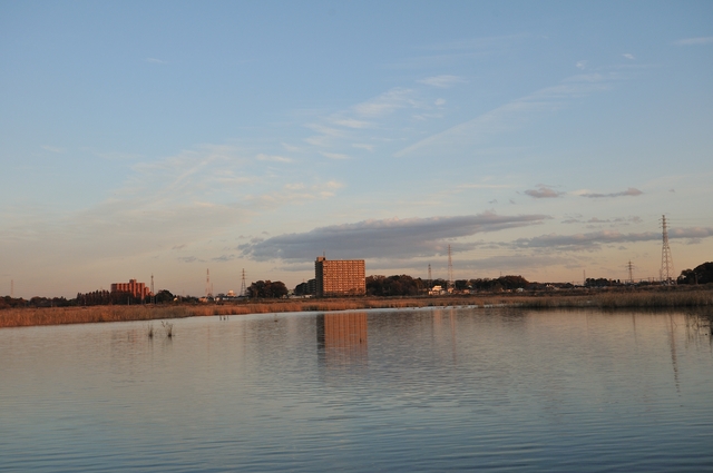 b0217090_8231741.jpg