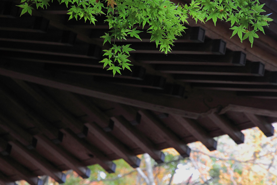 11.11.25：雷山、雷神社、千如寺、そして仁比山神社４_c0007190_1646720.jpg