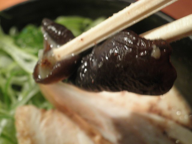 c0118393_804332.jpg