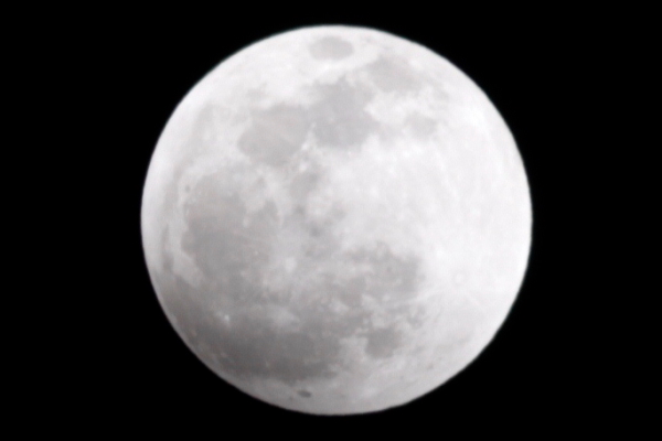 d0133693_10353672.jpg