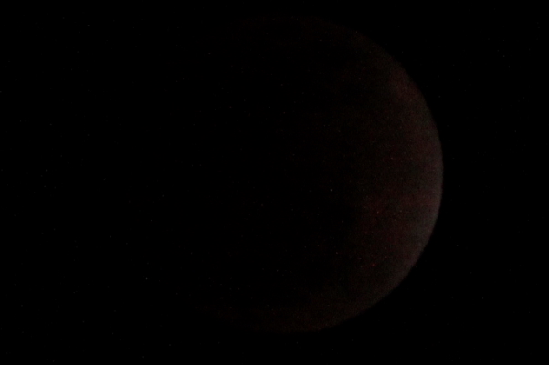 d0133693_1045148.jpg
