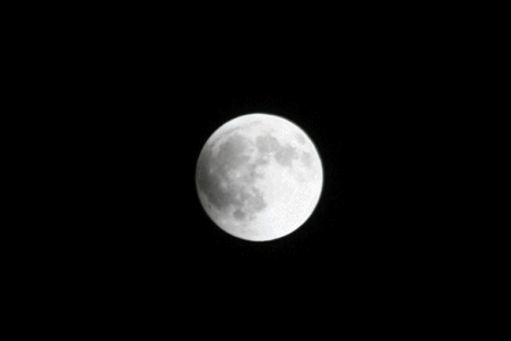 f0146493_10215198.gif