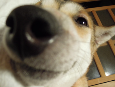 アップ2_f0232994_4402332.jpg