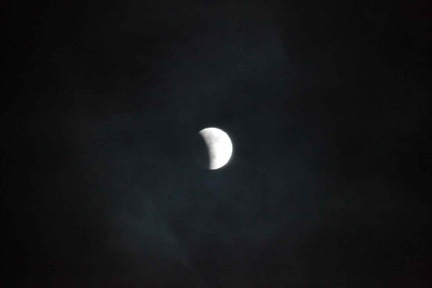 f0135295_1336207.jpg