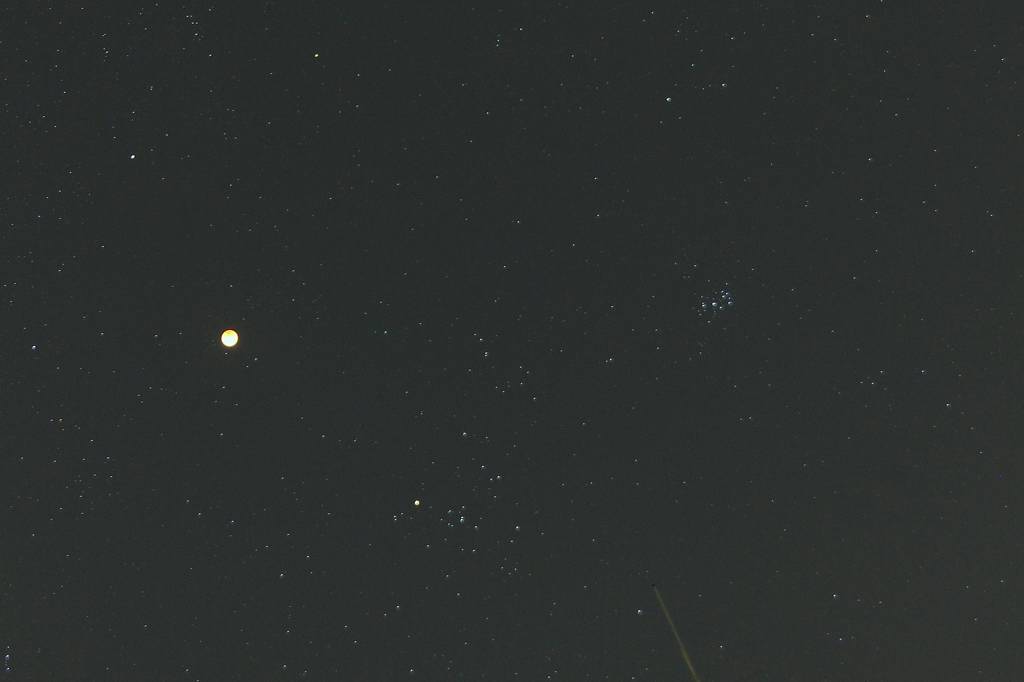 b0024798_72504.jpg