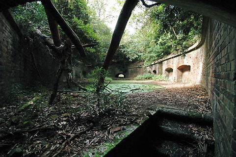 c0072801_193312.jpg