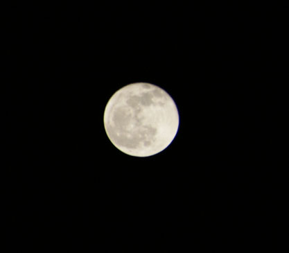 f0036603_21571157.jpg