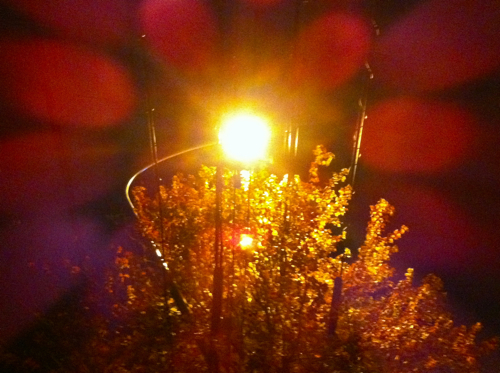 c0030705_23343715.jpg