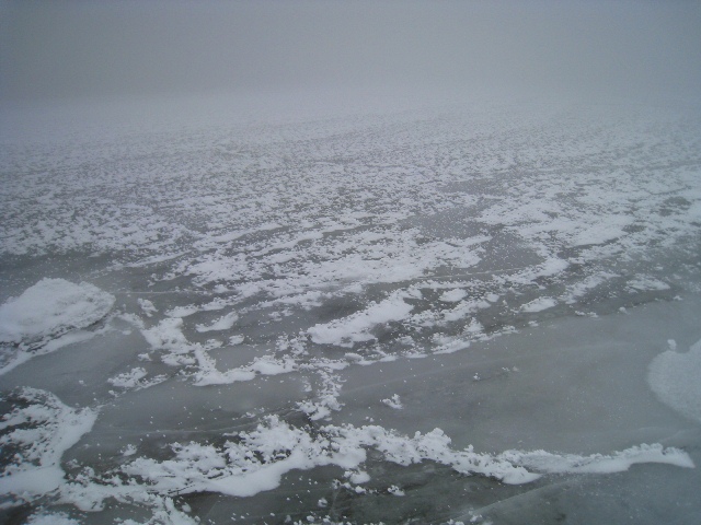 a0097006_0173952.jpg