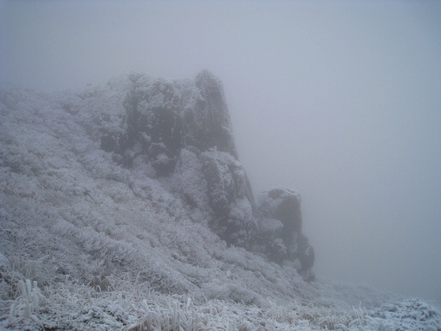 a0097006_0245899.jpg