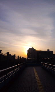 マルエツの奇跡のお話_f0192306_19583247.jpg