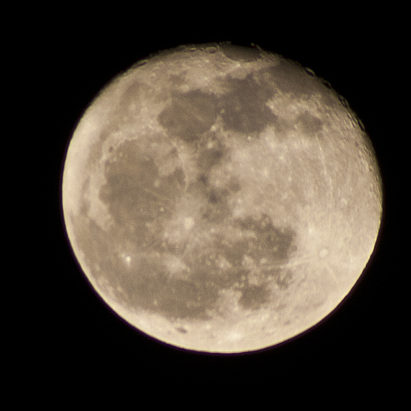 d0036708_23191760.jpg