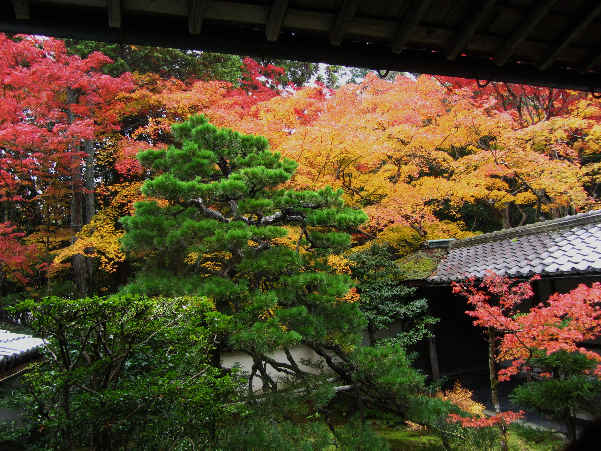 秋の京都　大徳寺拝観　その9_d0154609_10382513.jpg