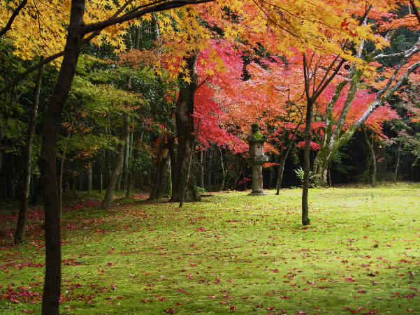 秋の京都　大徳寺拝観　その9_d0154609_1042450.jpg
