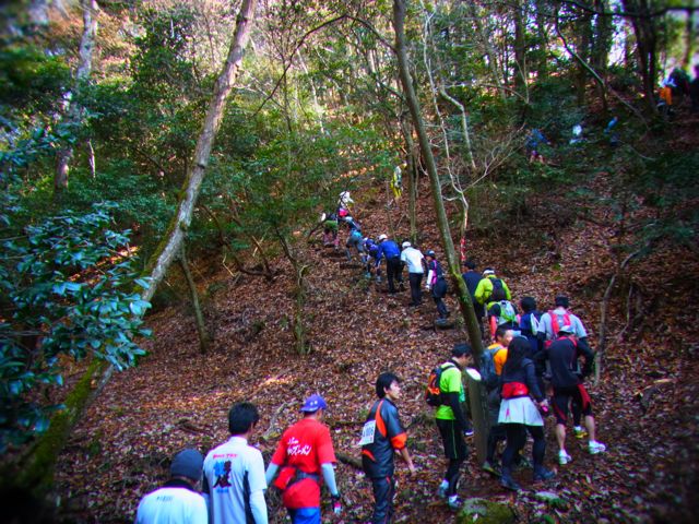 東山36峰マウンテンマラソン2011　代走楽しかった〜_b0183911_22482646.jpg