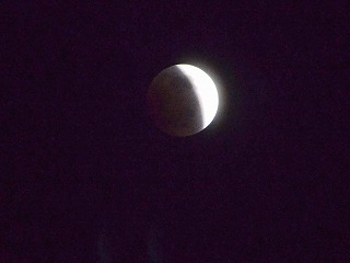 e0219011_1052835.jpg