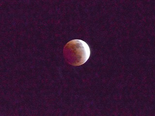 e0219011_1055478.jpg