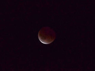 e0219011_10561048.jpg