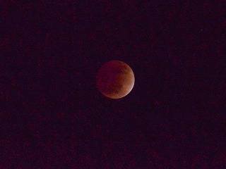 e0219011_1056131.jpg